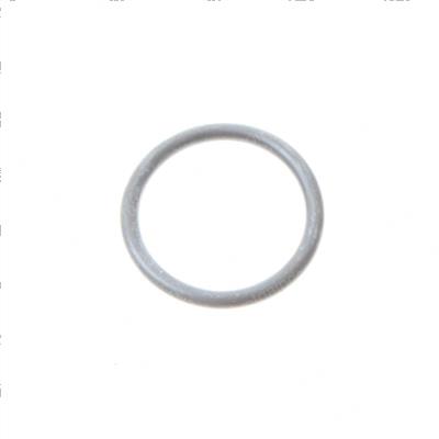Picture of O-Ring