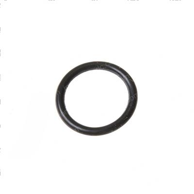 Picture of O-Ring
