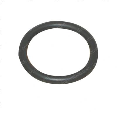 Picture of O-Ring