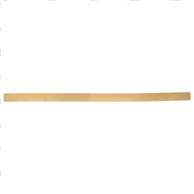 Picture of Squeegee - Front  Tan Gum