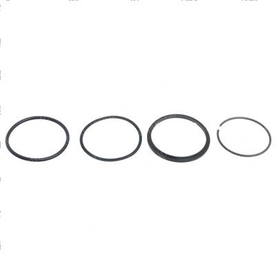 Picture of Seal Kit