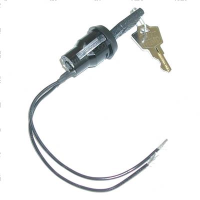 Picture of Switch - Key