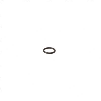 Picture of O-Ring