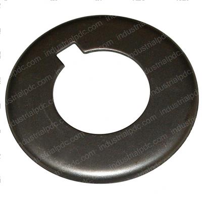 Picture of Plate
