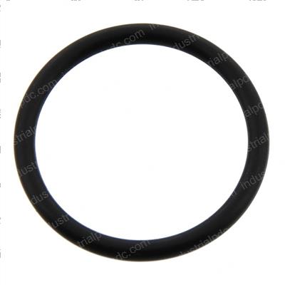 Picture of O-Ring