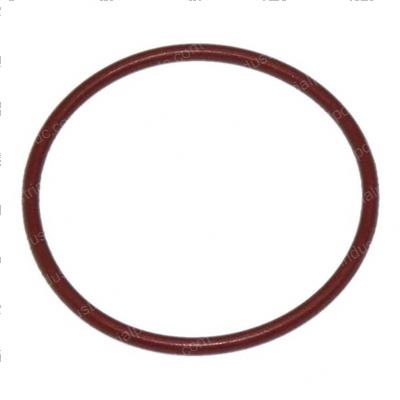 Picture of O-Ring