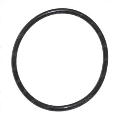 Picture of O-Ring