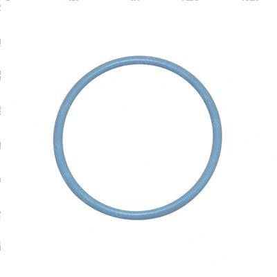 Picture of O-Ring