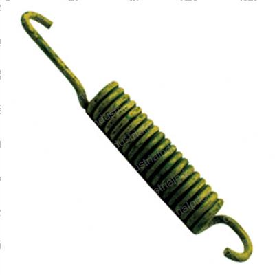 Picture of Spring