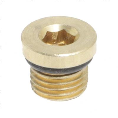 Picture of Plug Threaded