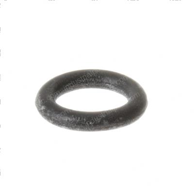 Picture of O-Ring