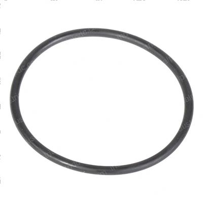 Picture of O-Ring
