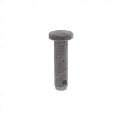 Picture of Pin