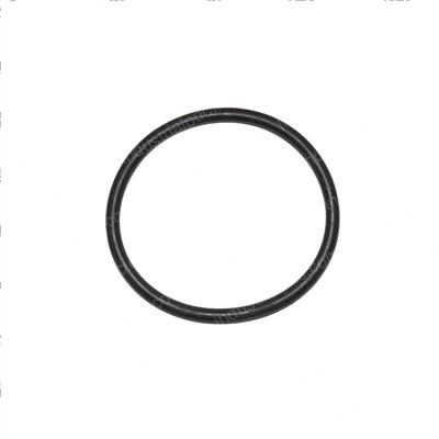Picture of O Ring