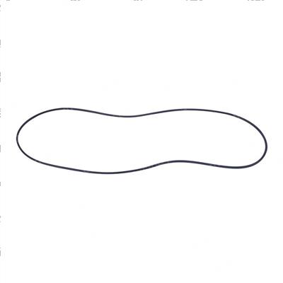 Picture of O-Ring