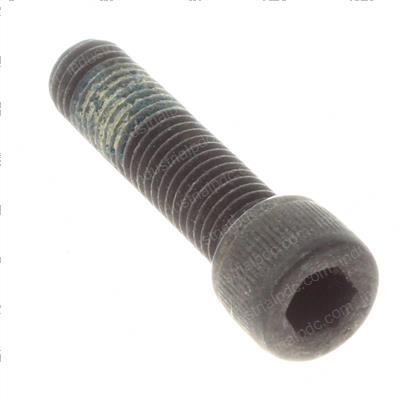 Picture of Bolt