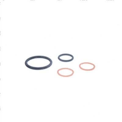 Picture of Seal Kit