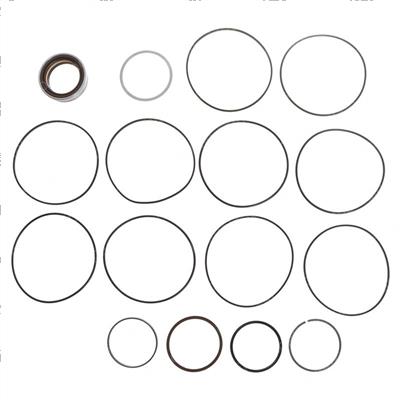 Picture of Seal Carrier for 310545 Motor