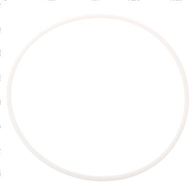 Picture of Ring - Back Up