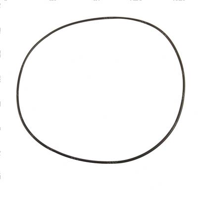 Picture of O-Ring
