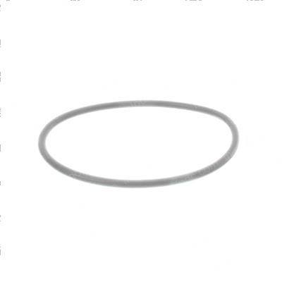Picture of O-Ring