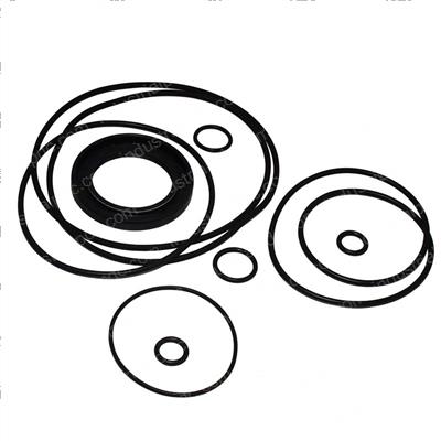 Picture of O-Ring + Seal