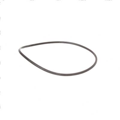 Picture of O-Ring