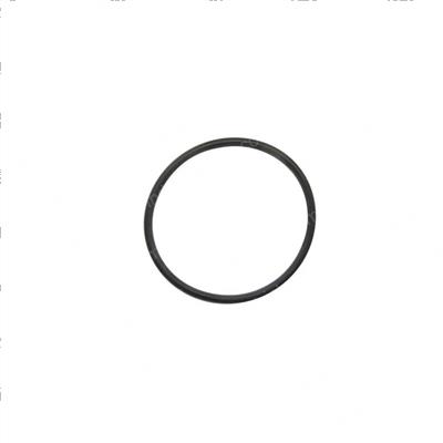 Picture of O-Ring