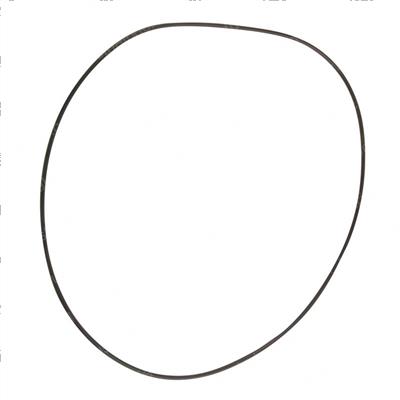 Picture of O-Ring