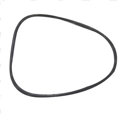 Picture of O-Ring
