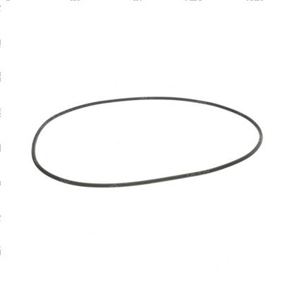 Picture of O-Ring