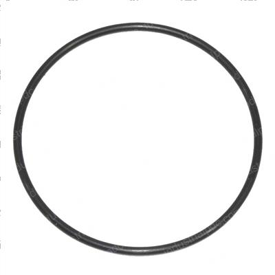 Picture of O-Ring