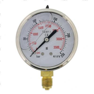 Picture of Gauge Pressure