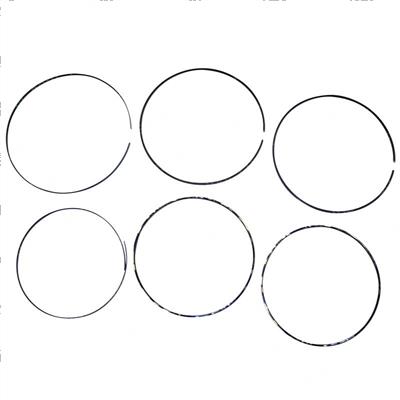 Picture of Ring Set - Bearing