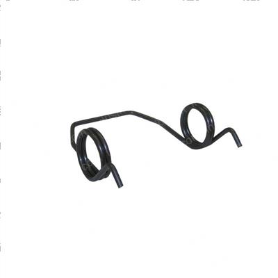Picture of Spring -Torsion