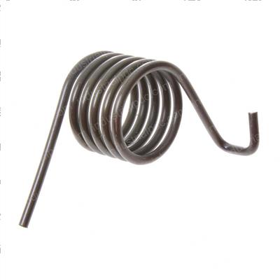 Picture of Spring - Torsion