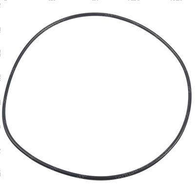 Picture of O-Ring