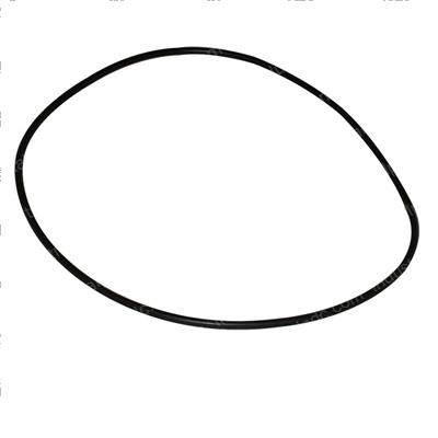 Picture of O-Ring
