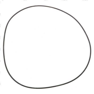 Picture of O-Ring