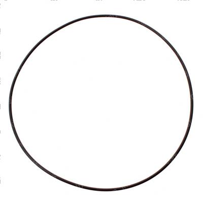 Picture of O-Ring