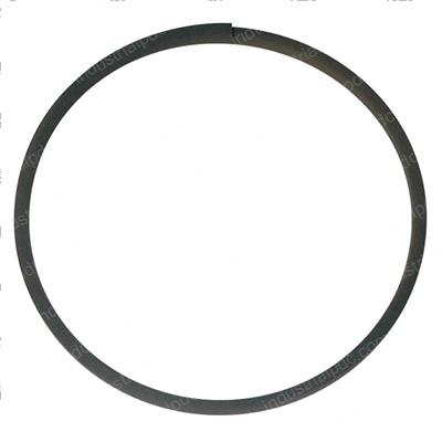 Picture of Seal - Ring