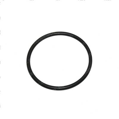 Picture of O-Ring