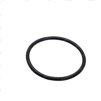 Picture of O-Ring
