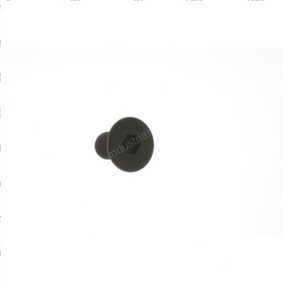 Picture of Screw