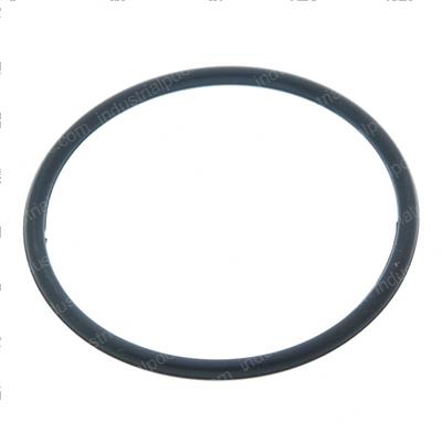 Picture of O-Ring
