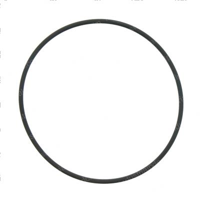 Picture of O-Ring