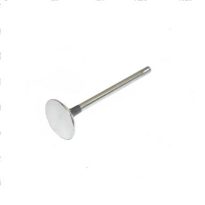 Picture of Valve - Exhaust