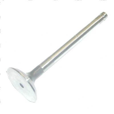 Picture of Valve -  Exhaust