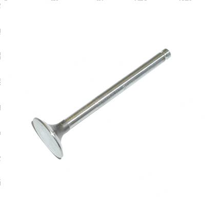 Picture of Valve - Ehaust