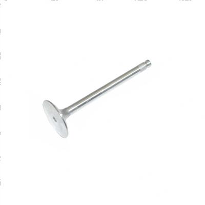 Picture of Valve - Intake